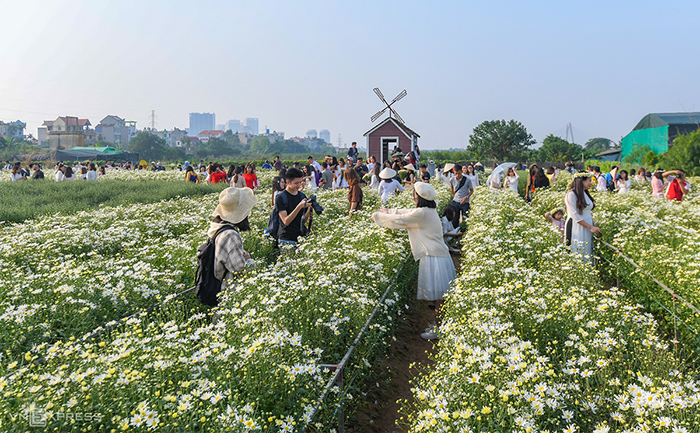 vườn hoa bãi đá sông hồng